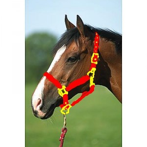 Obrazek
