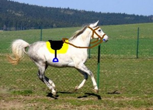 Obrazek